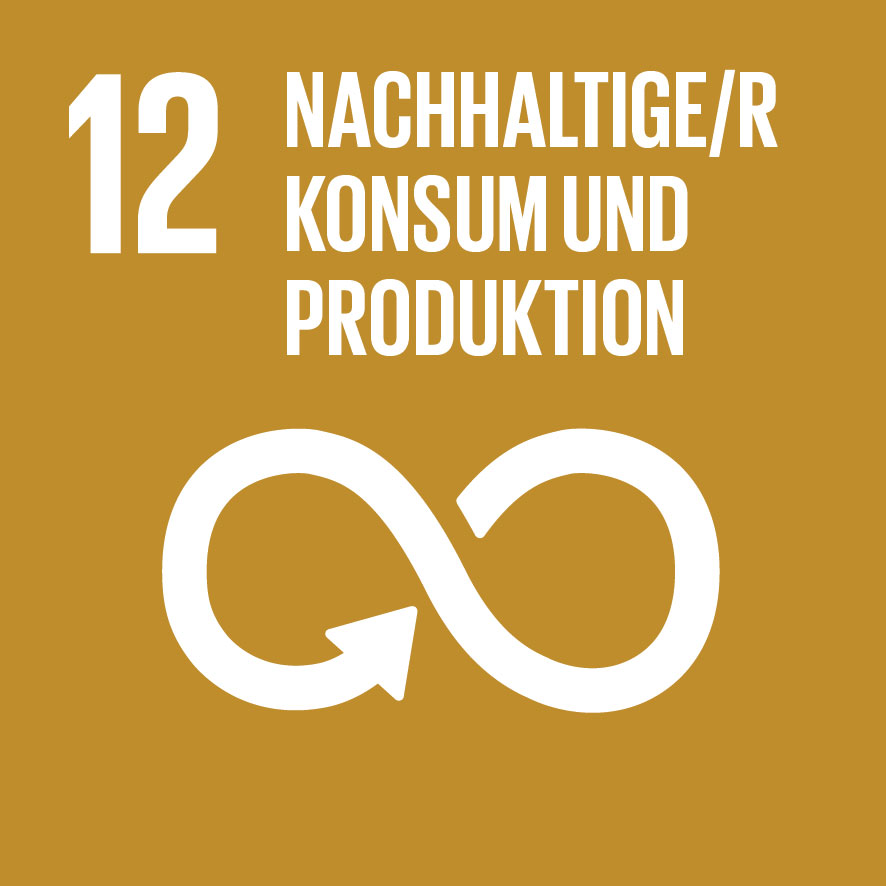 SDG icon DE 12 1