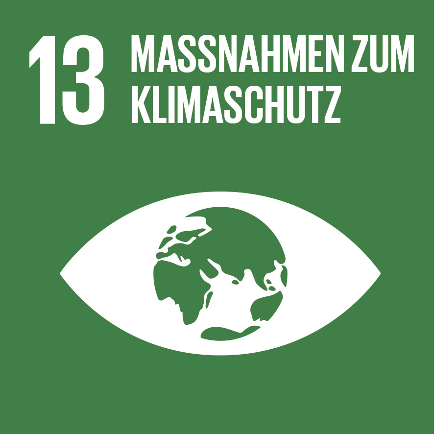 SDG icon DE 13 1