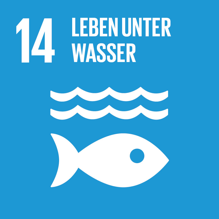 SDG icon DE 14 1